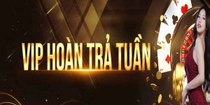 Giới thiệu chương trình hoàn trả tuần Bet88